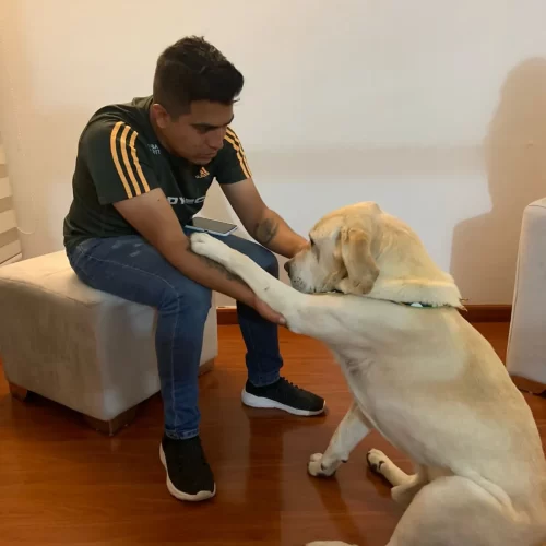 PLAN PADRINO en fundacion salvando patitas madrid cundinamarca_1