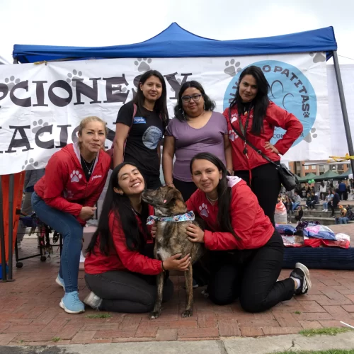 fundacion salvando patitas madrid cundinamarca_3